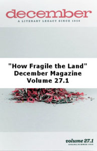 How Fragile the Land